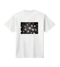 画像をギャラリービューアに読み込む, FAKE FLAG (フェイク・フラッグ) TEE / Tシャツ WHITE / BLACK